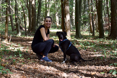 Mezzanimal - Éducateur Comportementaliste Pour Chiens Et Chats, Dresseur De Chiens à Valmondois