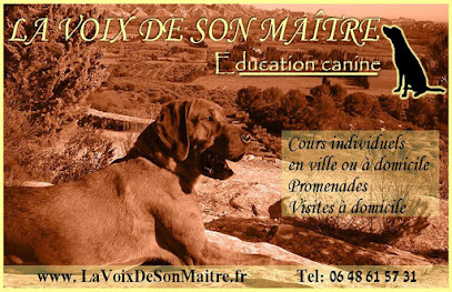La Voix De Son Maître Dresseur De Chiens à Carpentras