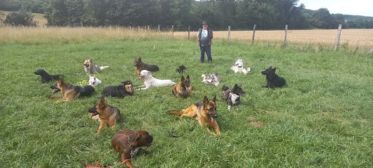 Jacques Bourdon, Dresseur de Chiens à Saint-Just-Chaleyssin