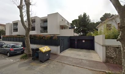 Les Petits Soleils De Marguerite, Pension pour Chiens à Montpellier